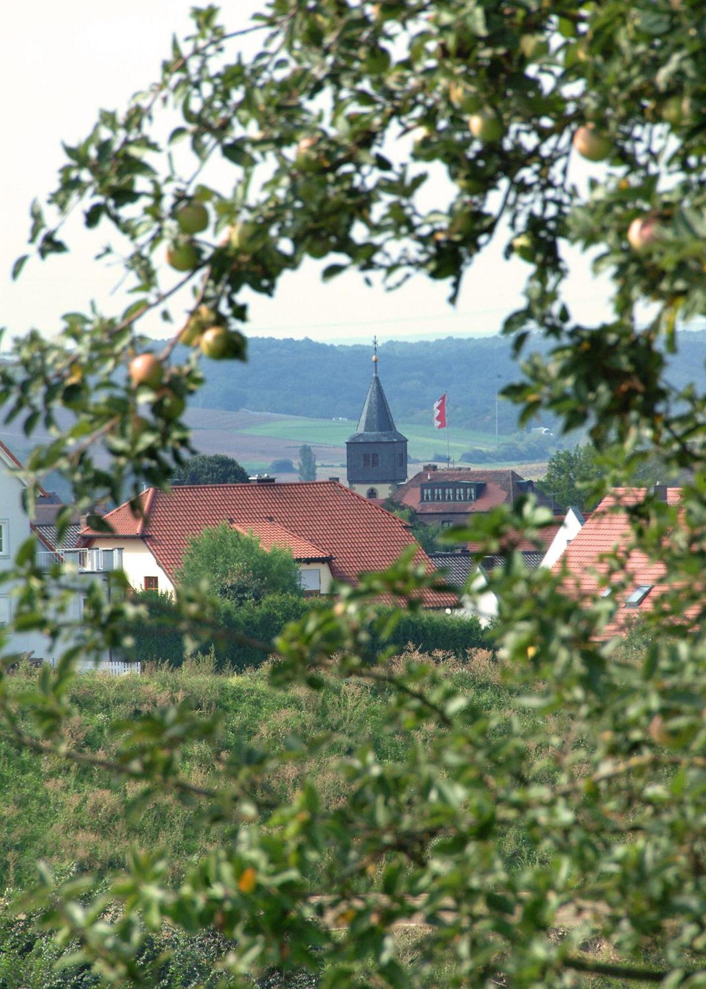 Hotel Leicht Biebelried Екстер'єр фото